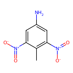 4-METHYL-3,5-DINITROPHENYLAMINE