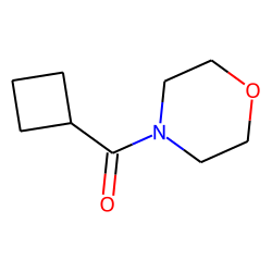 Cyclobutanecarboxylic acid, morpholide