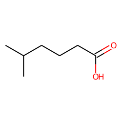 5-methylhexanoic acid