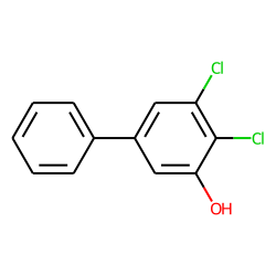 1,1'-Biphenyl-3-ol, 4,5-dichloro