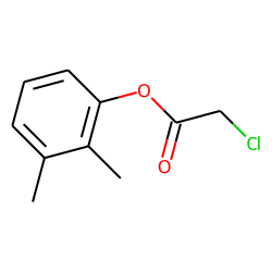 Chloroacetic acid, 2,3-dimethylphenyl ester