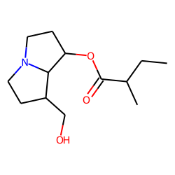 7-(2-Methylbutyryl) platinecine