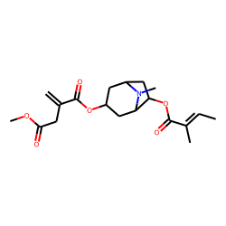 3«alpha»-Methylitaconyloxy-6«beta»-angeloyloxytropane