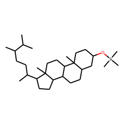 epi-5«beta»-Campestanol (24«alpha»-methyl-5«beta»-cholestan-3«alpha»-ol), TMS