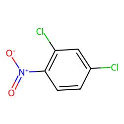 2,4-DICHLORO-1-NITROBENZENE