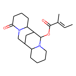 13-Tigloyloxylupanine