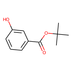 Benzoic acid, 3-hydroxy-, tert.-butyl ester