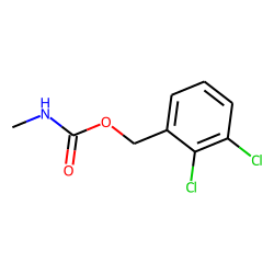 Carbamic acid, N-methyl-, 2,3-dichlorobenzyl ester