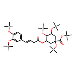 5-Caffeoyl quinic acid, TMS