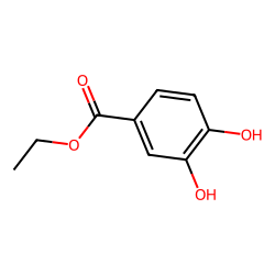 Benzoic acid, 3,4-dihydroxy-, ethyl ester