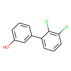 1,1'-Biphenyl-3-ol, 2',3'-dichloro