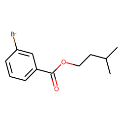 3-Bromobenzoic acid, 3-methylbutyl ester