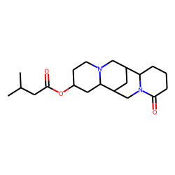 13-isovaleroyloxylupanine