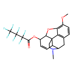 HEPTAFLUOROBUTYRYL-CODEINE
