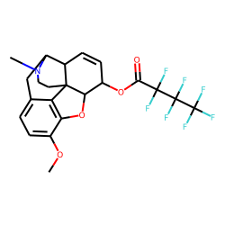Heptafluorobutyryl-codeine