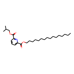 2,6-Pyridinedicarboxylic acid, hexadecyl isobutyl ester