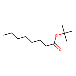 Octanoic acid-tert butyl ester