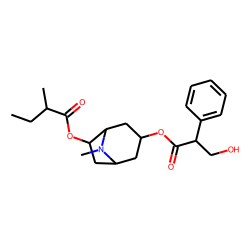 6-(2-Methylbutyryloxy)-hyoscyamine