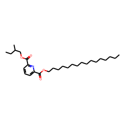 2,6-Pyridinedicarboxylic acid, hexadecyl 2-methylbutyl ester