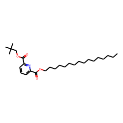 2,6-Pyridinedicarboxylic acid, hexadecyl neopentyl ester