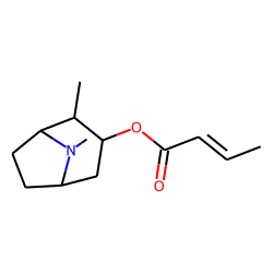 Tigloidine
