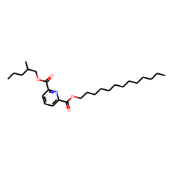 2,6-Pyridinedicarboxylic acid, 2-methylpentyl tridecyl ester