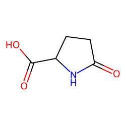 DL-5-Oxoproline
