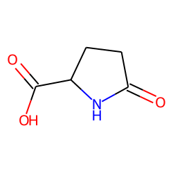 DL-Proline, 5-oxo-