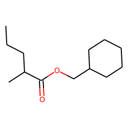 2-Methylvaleric acid, cyclohexylmethyl ester