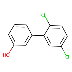 [1,1'-Biphenyl]-3-ol, 2',5'-dichloro-