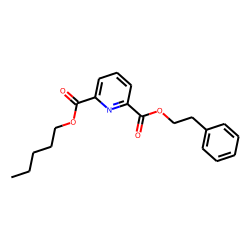2,6-Pyridinedicarboxylic acid, pentyl phenethyl ester
