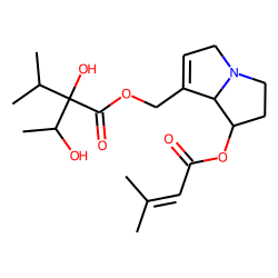 echiupinine (7-senecioylintermedine)