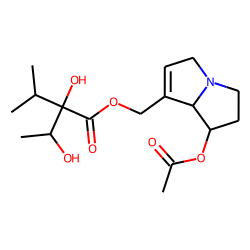 7-acetylintermedine