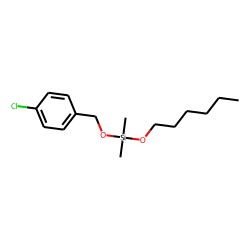 Silane, dimethyl(4-chlorobenzyloxy)hexyloxy-