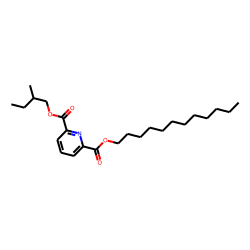 2,6-Pyridinedicarboxylic acid, dodecyl 2-methylbutyl ester