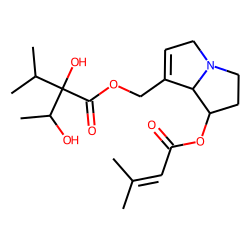 7-senecioylrinderine