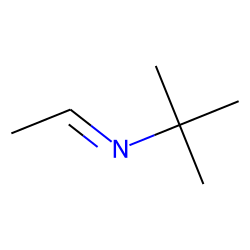 N-Ethylidene t-butylamine