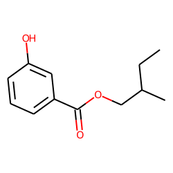 Benzoic acid, 3-hydroxy-, 2-methylbutyl ester