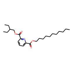 2,6-Pyridinedicarboxylic acid, 2-ethylbutyl undecyl ester