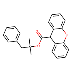 Xanthene-9-carboxylic acid, benzyldimethylsilyl ester