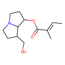 7-O-Tigloylplatinecine