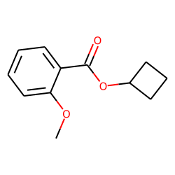 o-Anisic acid, cyclobutyl ester