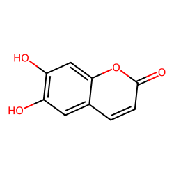 ESCULETIN