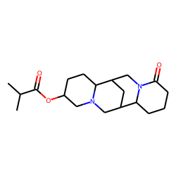 13«alpha»-Isobutyryloxylupanine