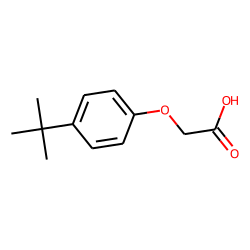 (4-Tert-butylphenoxy)acetic acid