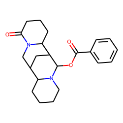 13-Benzoyloxylupanine