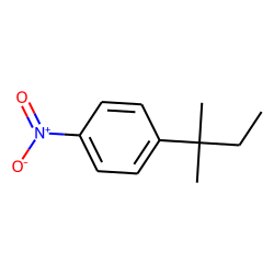 p-t-amyl-nitrobenzene radical