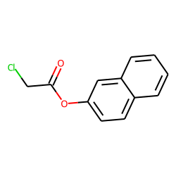 Chloroacetic acid, 2-naphthyl ester