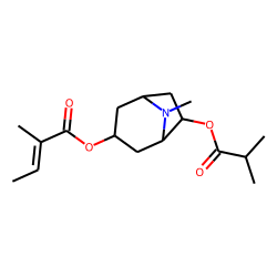 3«alpha»-Tigloyloxy-6«beta»-isobutyryloxytropane