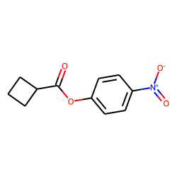 Cyclobutanecarboxylic acid, 4-nitrophenyl ester
